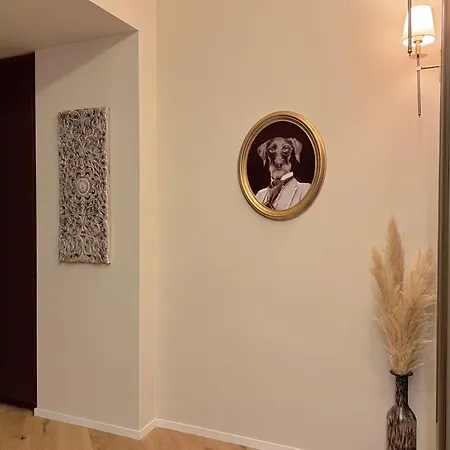 Apartman Royal Center